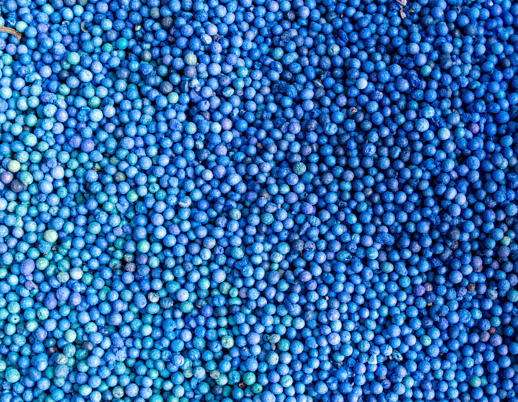 Big Bag para Sementes